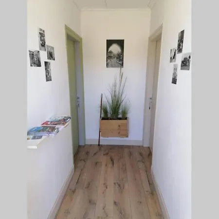 Location Lac De Pareloup Avoine * Salles-Curan